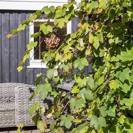 Lovely In With Wifi * Sæby